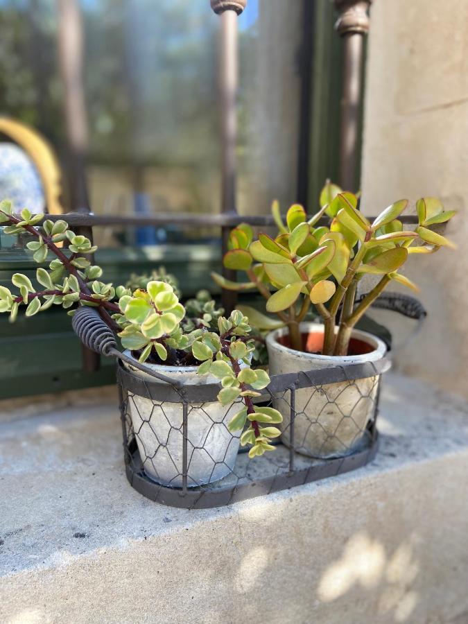Le Jardinet De Rosa Maison De Village Eygalières المظهر الخارجي الصورة