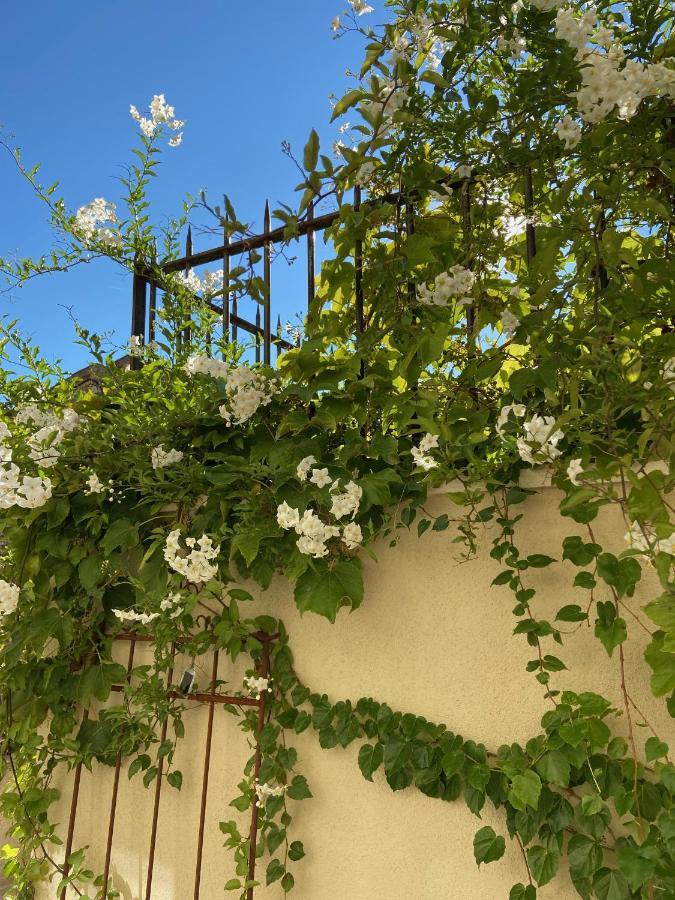 Le Jardinet De Rosa Maison De Village Eygalières المظهر الخارجي الصورة